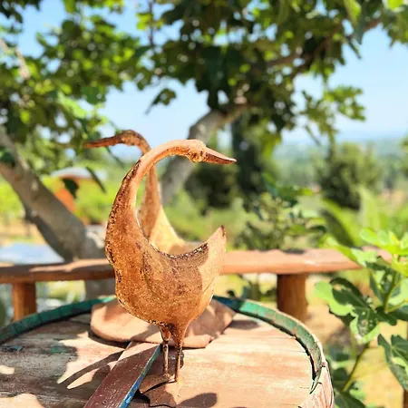 Linda House Corfu Διαμέρισμα