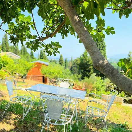 Διαμέρισμα Linda House Corfu *